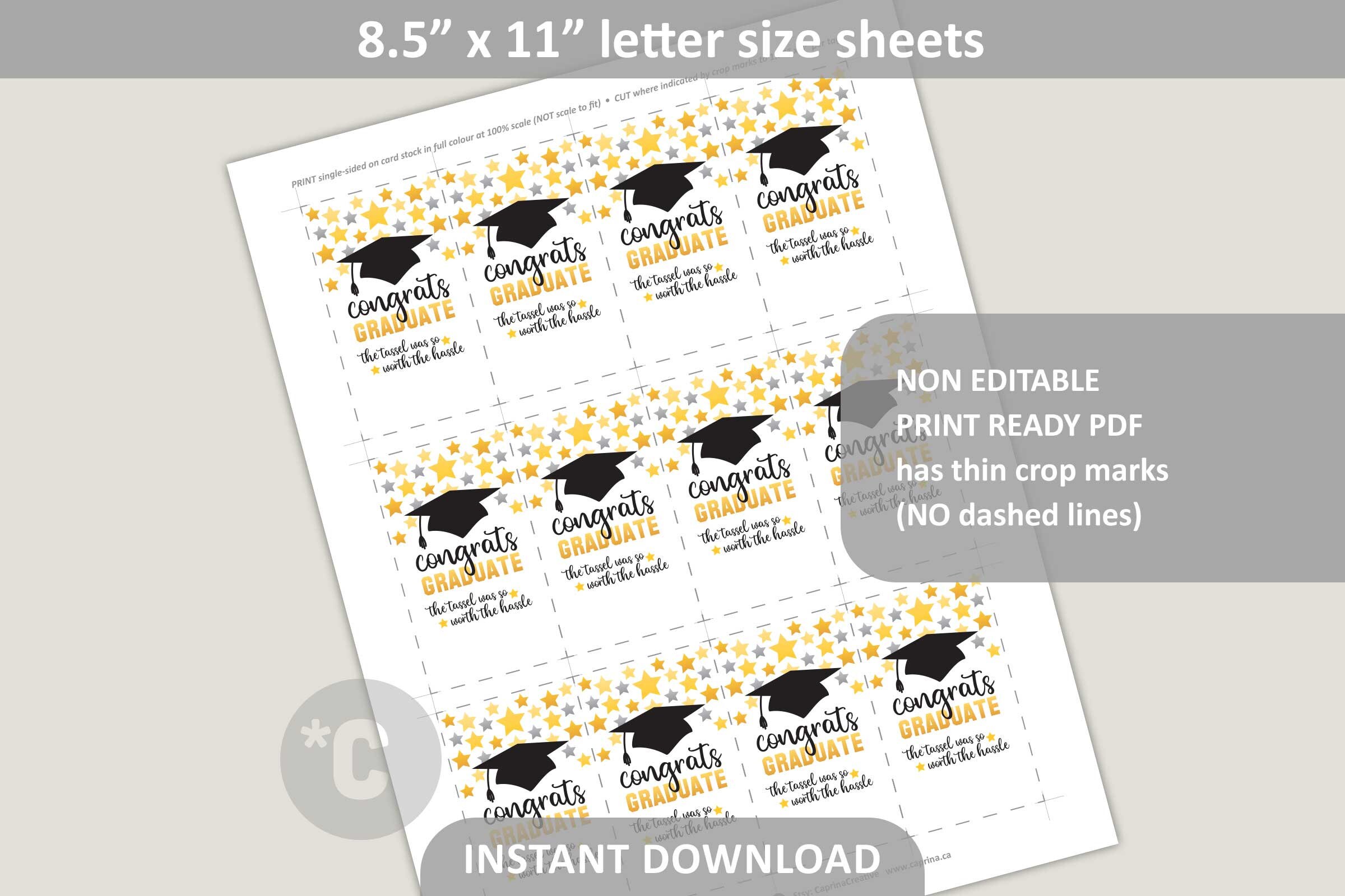 Graduation Tag Printable / Class of 2024 Congrats Graduate / Grad Gift ...