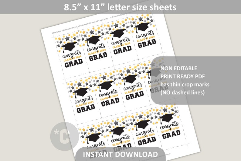 Graduation Tag Printable / Congrats Class of 2024 Grad / Grad Gift Tags ...
