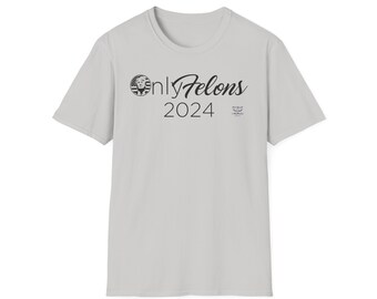 Only Felons it is the way we vote in 2024