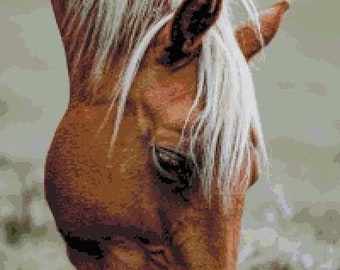 GRAZING HORSE