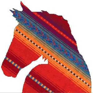 SOUTHWESTERN BLANKET HORSE