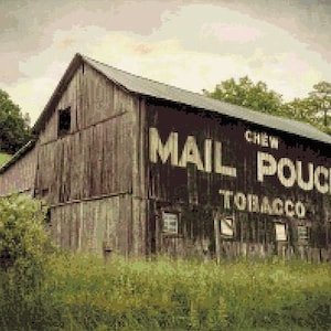 May include: A weathered wooden barn with a large sign that reads "CHEW MAIL POUCH TOBACCO". The barn is surrounded by green grass and trees.