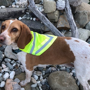 Dog Bandana - REFLECTIVE Yellow SAFETY - High Visibility at Night - Over-the-Collar