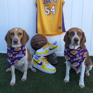 Lakers pet jersey hotsell