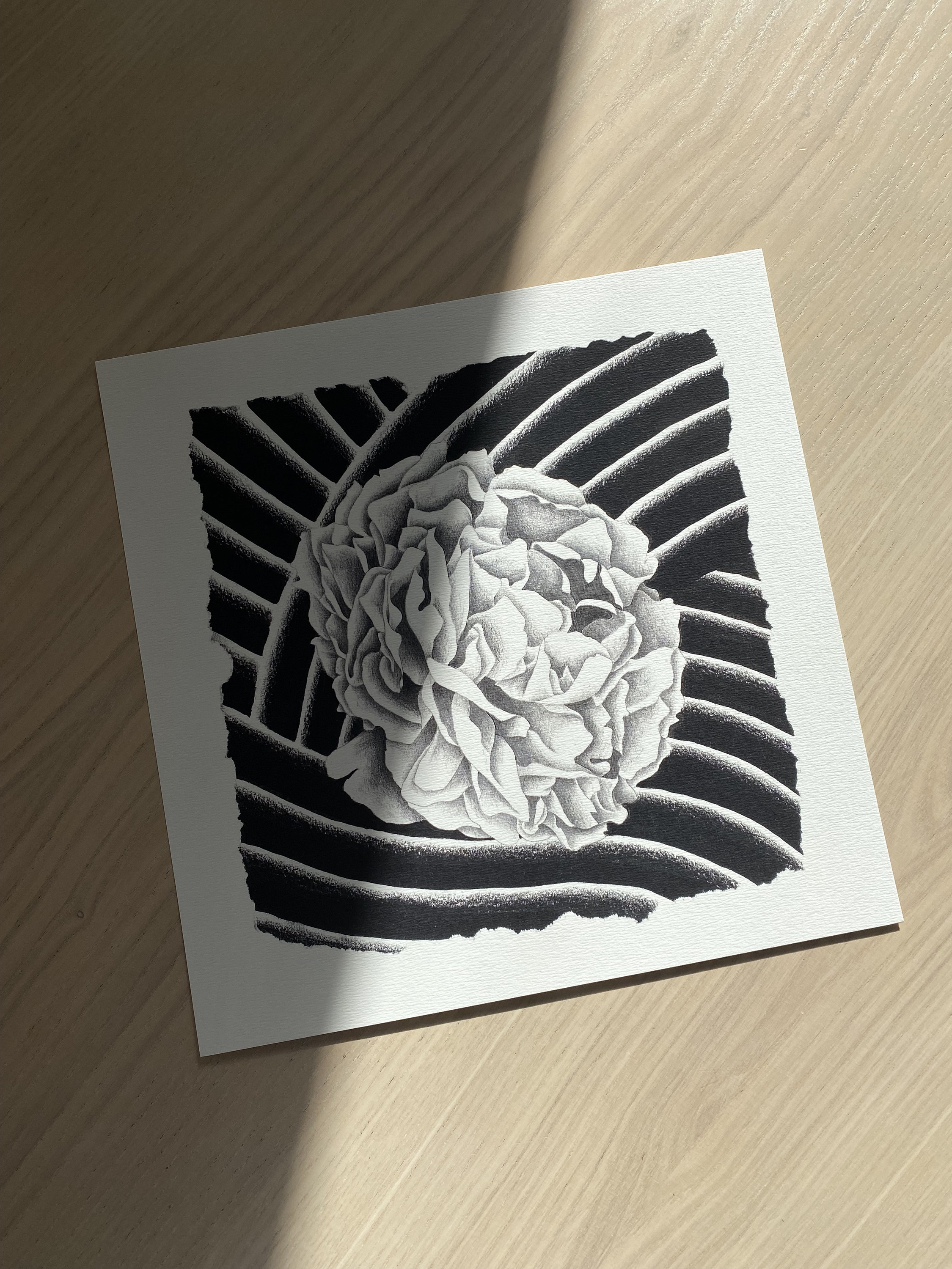 Shakuyaku/Affiche Pivoine Carré Floral Print Vague Japonaise Impression Numérique Illustration Noir 