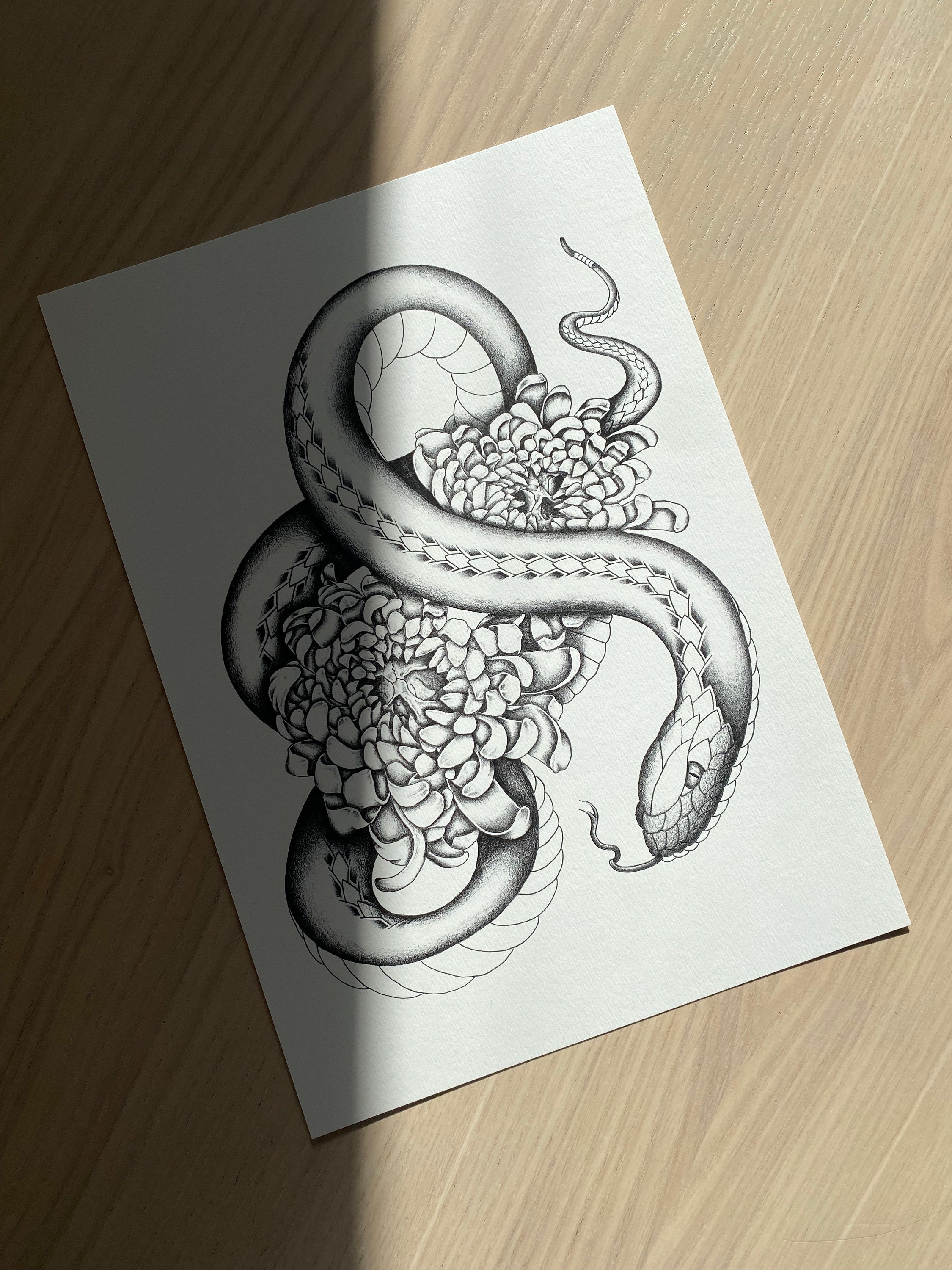 Ebi Zugaikotsu & Kiku/Affiche Serpent Chrysanthème et Tête de Mort A4 Print Illustration Poster Impr