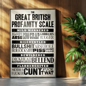 Funny Profanity Swear Poster: British Offensive Minimalist Typography Print Retro Wall Art Gift image 5