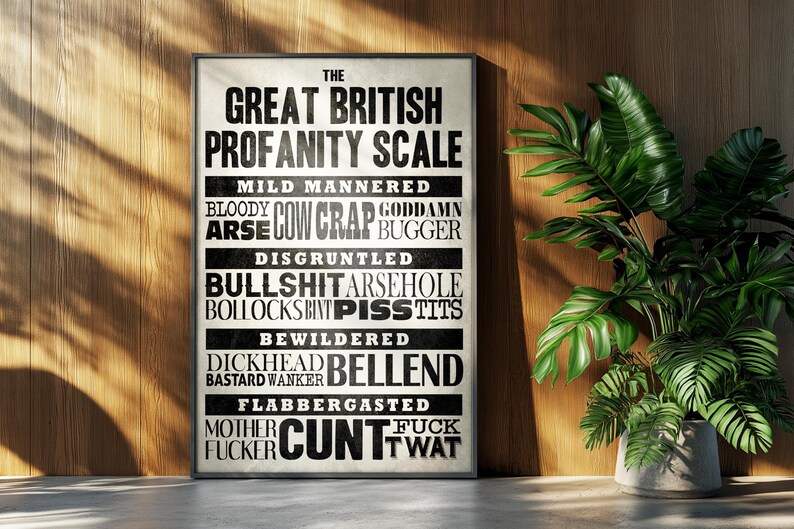 Funny Profanity Swear Poster: British Offensive Minimalist Typography Print Retro Wall Art Gift image 5