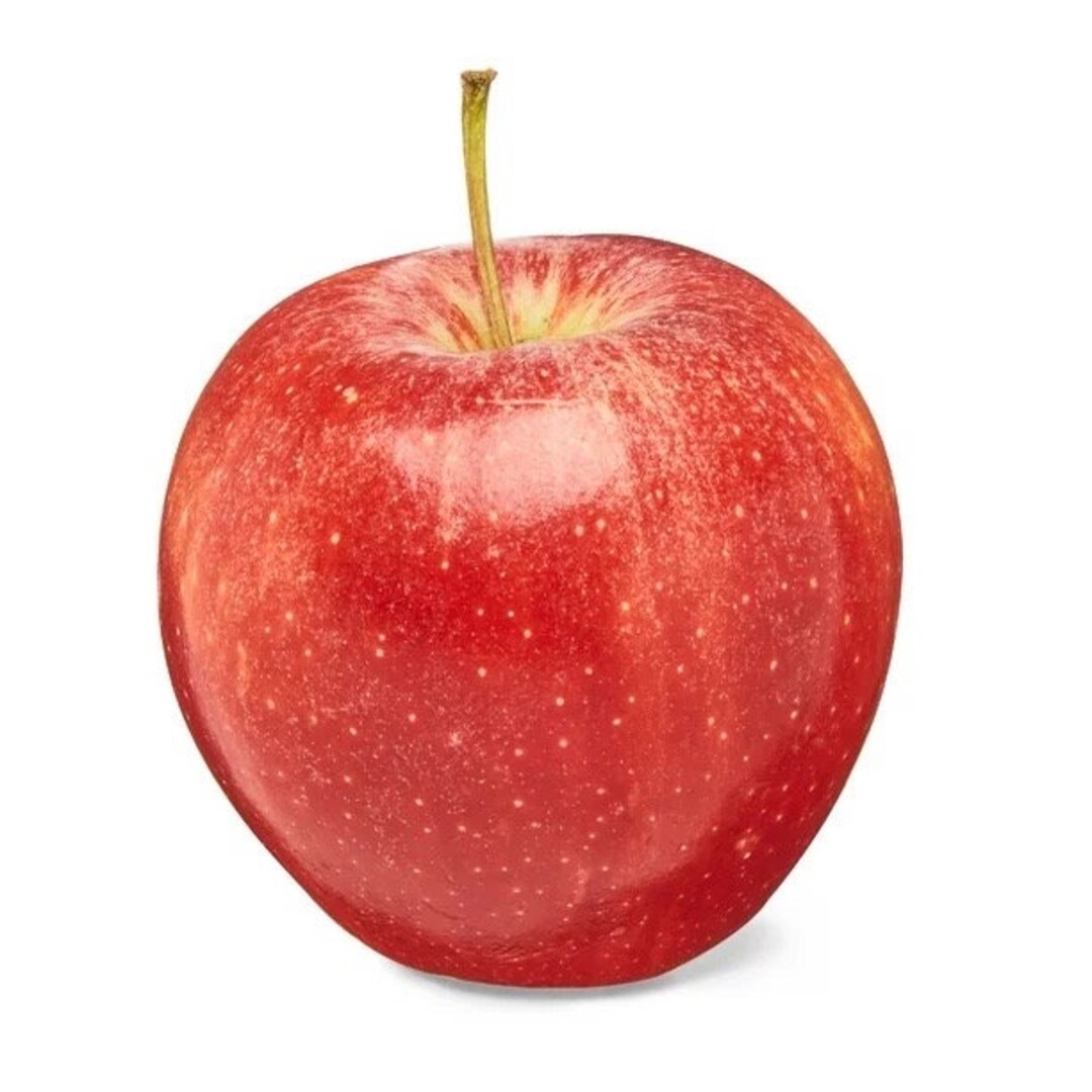 10 Organic Gala Apple Seeds Etsy