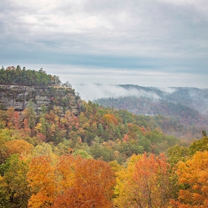 Red River Gorge Colors