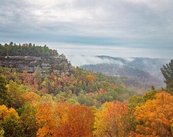 Red River Gorge Colors