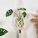 see more listings in the Plant hangers section