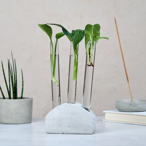 Estación de propagación en diferentes colores. Soporte de hormigón para plantas de interior. Sistema hidropónico. Jarrón minimalista de probeta. Regalo único para amantes de las plantas.