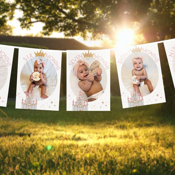 Princess Monthly Photo Banner for Baby's First Birthday, Milestone Photo Cards, 1st Birthday Photo Display // EDITABLE DOWNLOAD A107