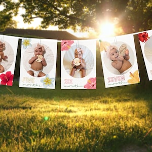 Aloha Monthly Photo Banner for Baby's First Birthday, Hawaiian Milestone Photo Cards, 1st Birthday Photo Display // EDITABLE DOWNLOAD A114