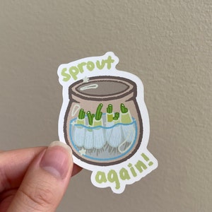 May include: A sticker with a hand-drawn illustration of a glass jar with green sprouts growing in water. The text "Sprout again!" is written in green and white on the sticker.