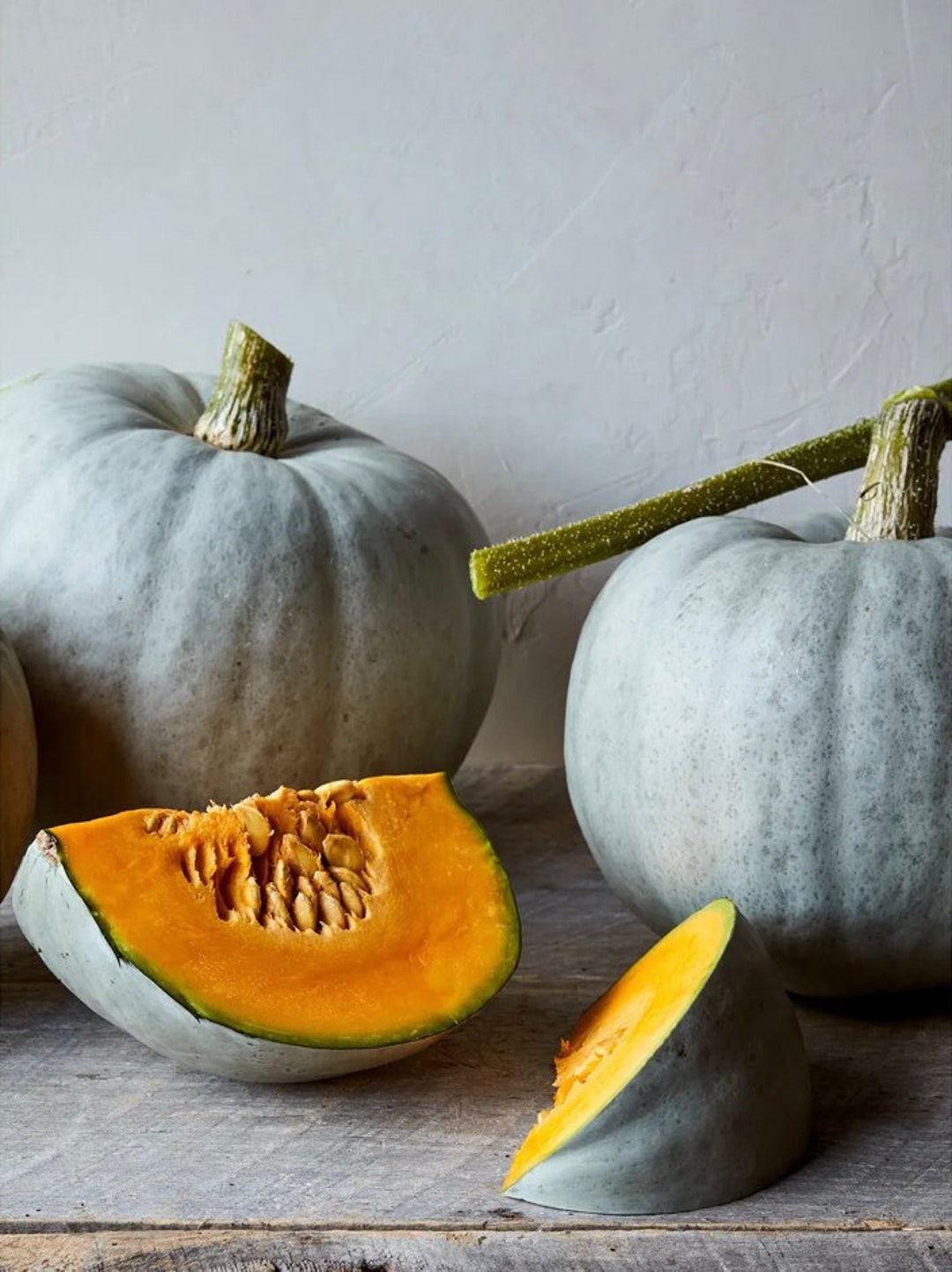 Harvest Moon Winter Squash 10 Seeds Etsy