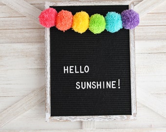 BRIGHT COLOR Rainbow Pompom Garland/Classroom Decor/Birthday Party Decor