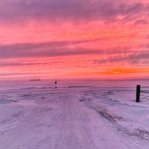 Pink Sunrise