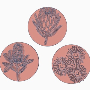 Puede incluir: Tres sellos circulares con fondo rosa empolvado e ilustraciones de líneas azul oscuro. El sello superior muestra una flor de protea, el inferior izquierdo una banksia y el inferior derecho un grupo de tres margaritas.