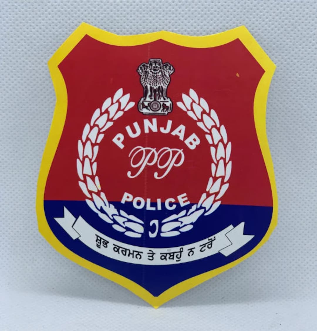 Adp 2024 25 Punjab Police Elka Nicole adp-2024-25-punjab-police-elka-nicole