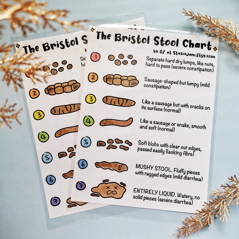 Cute Bristol Stool Chart Laminated A4 Lab Poster Science Etsy