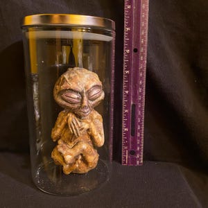 May include: A small, gray alien figurine with closed eyes and hands clasped in front of its chest is preserved in a clear glass jar with a silver lid. The jar is approximately 6 inches tall.