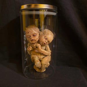 May include: Two conjoined baby dolls preserved in a glass jar. The dolls are made of a fleshy material and have realistic features, including eyes, noses, and mouths. The jar is clear glass and has a silver lid.