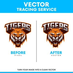 May include: A graphic showing a vector tracing service with the text VECTOR TRACING SERVICE at the top. It displays a tiger head logo labeled BEFORE PIXEL on the left and AFTER VECTOR on the right. The bottom text reads TURN YOUR IMAGE INTO A CLEAN VECTOR.