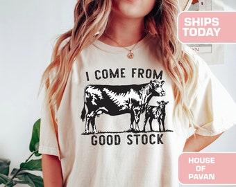 Good Stock Western Shirt, Vintage Inspired Tee Shirt, Western Graphic Tee, Retro Tee Shirt, Comfort Colors®, Garment Dyed, Boho, Vintage Tee