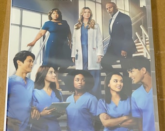 Grey's Anatomy Season 19 (DVD Box Set 4-Disc Deluxe Edition)