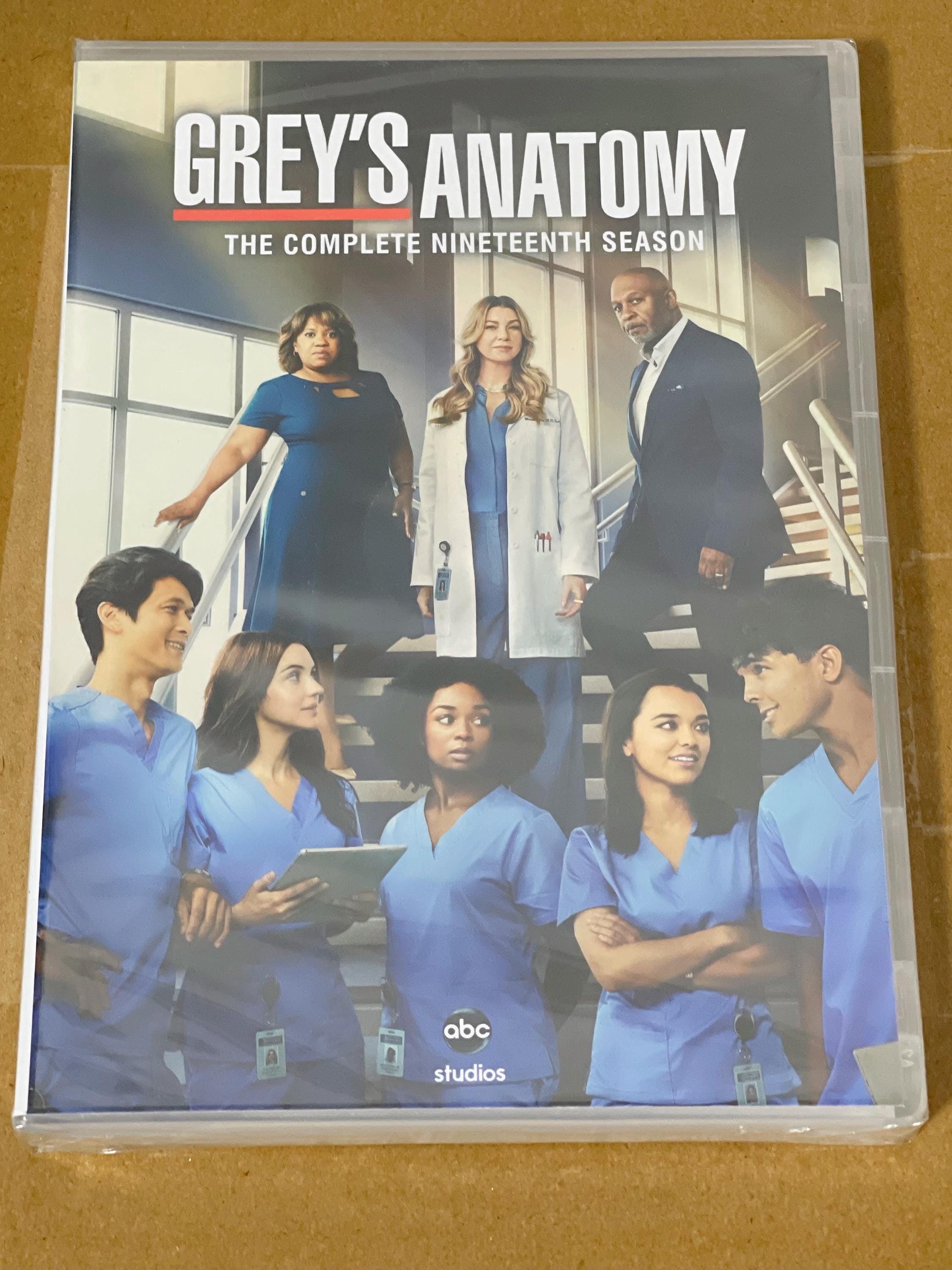 Grey's anatomy season 19 dvd - Etsy 日本