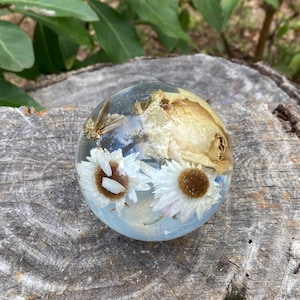 May include: A clear spherical resin paperweight containing preserved white daisy flowers and a dried beige rose. The sphere has a smooth, glossy finish and captures light, showcasing the botanical elements suspended within the transparent material.