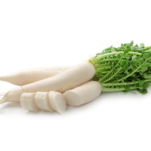 EISZAPFEN RADIESCHEN Groß / Lange Radieschen Samen Maissamen Mais / 50 Stück Bio Daikon Radieschen / Frische natürliche und freie Pflanzenpflanzen Samen
