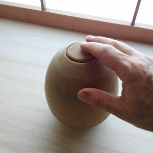 Op de afbeelding: Een gladde, eivormige beige keramische pot met een rond lichaam en een cirkelvormige opening aan de bovenkant. Een bijpassend, plat, rond keramisch deksel is in de opening geplaatst en heeft een matte, aardse textuur en kleur.