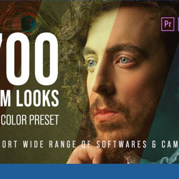 700 look cinematografici – Pacchetto preimpostazioni colore LUT / Adobe AE, Adobe Pr, Final Cut Pro /