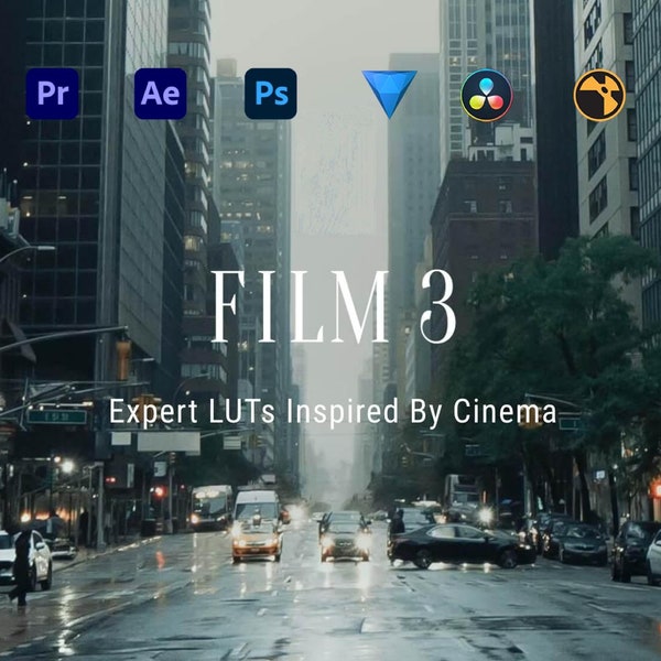 50 Expert LUTs Inspired by Cinema for FCPX/filmora/Premiere pro/Davinci Resolve/plugin/effect/lut/luts/movie