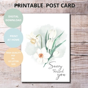 JW Postkaart, Printables prediking, afdrukbare briefkaart van het ministerie, brief schrijven stationair, downloadbare ansichtkaarten, Sorry dat we je kaarten hebben gemist, JWS
