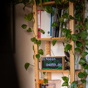 Könnte beinhalten: Holzregal mit Bitcoin-Preisanzeige, Glühlampenlampe und rankenden grünen Pflanzen. Die Bitcoin-Anzeige zeigt den aktuellen Preis und die prozentuale Veränderung. Die Lampe hat einen Betonsockel und ein orangefarbenes Kabel.