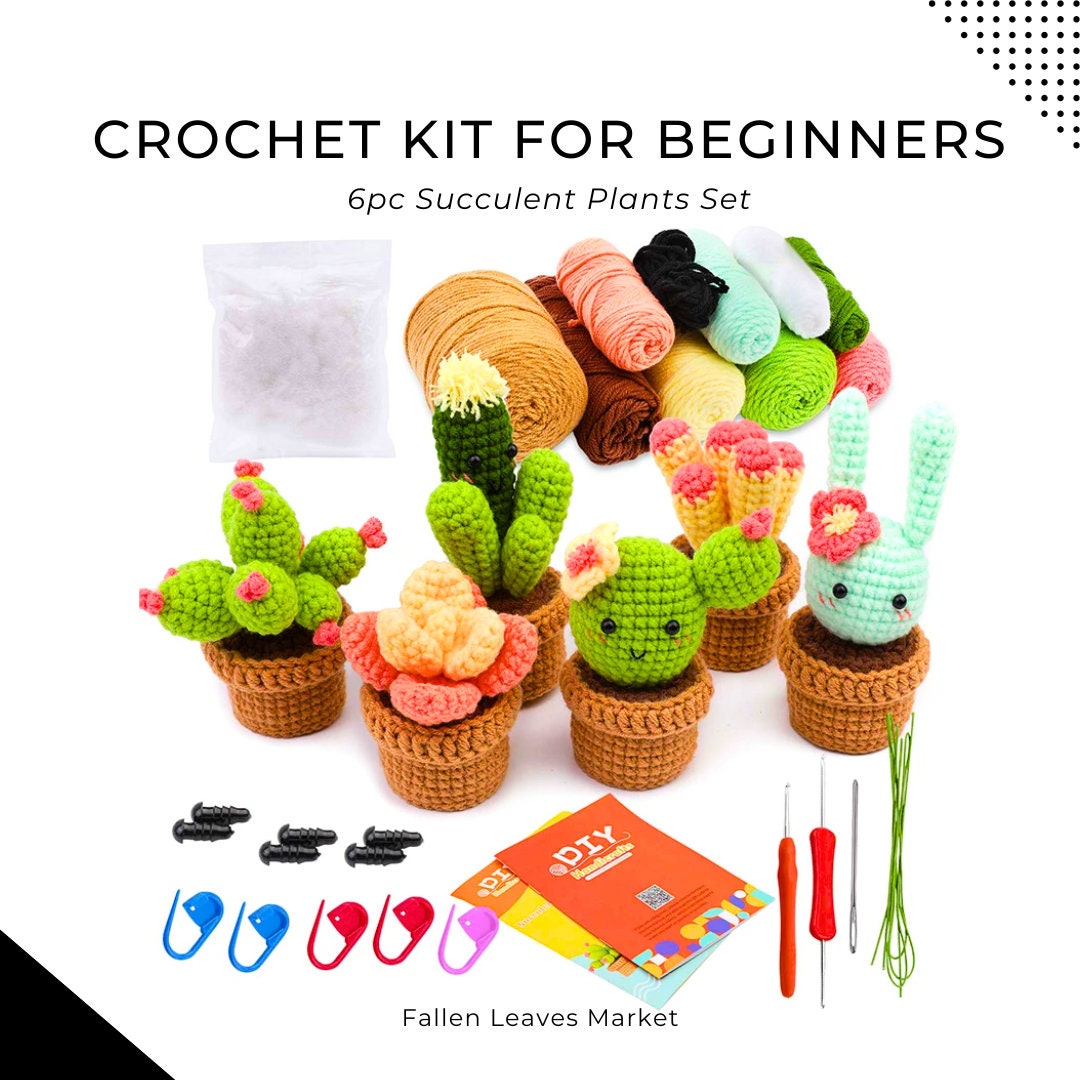 Complete Crochet Kit for Beginners 6pc Succulent Plants Set With Hooks