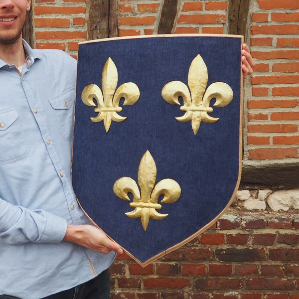 Blason du Royaume de France armoirie écusson mural en bois grande taille en relief décoration intérieure