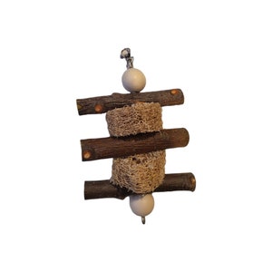 Hanging Chew Toy, Chinchilla Toy Pine Wood, Small Animal Toy, Bird Toy, Chew Toy Interactive Toy Apple Sticks, Apple Wood, Wood Chew, Loofah