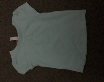 May include: A light blue short-sleeved t-shirt with a v-neck.