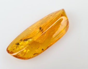 May include: A teardrop-shaped piece of amber with a small insect trapped inside. The amber is a warm, honey color.