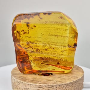 May include: A polished amber gemstone, showcasing a translucent golden hue with internal inclusions. The amber is mounted on a small, round wooden base. The gemstone's surface reflects light, highlighting its natural texture and color variations.