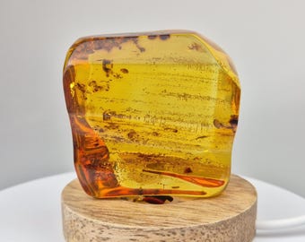 昆虫入りバルト海産琥珀：天然宝石の展示品 - Etsy 日本