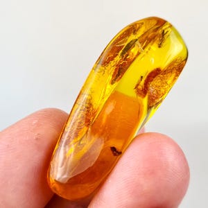 Amber Stone With Insect, Genuine Natural Amber Gemstone,  Collector&#39;s Piece, Amber for Museums, Home Decoration, Amber For Display, Gift