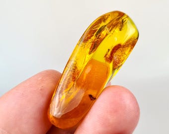 Baltic Amber Stone With Insect: Natural Gemstone Collector's Piece