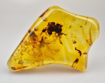 Natural Baltic Amber With Insect Inclusion: Collectible Gemstone, Home Decor, Gift for Boss