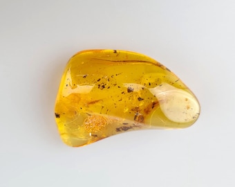 Baltic Amber Stone With Insect Inclusion: Raw-Form Collector's Display Piece, Gift For Boss & Fhater, Home Decor